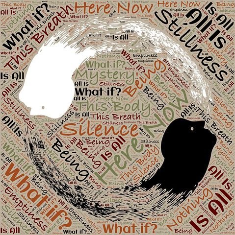 dualism-1197153__480